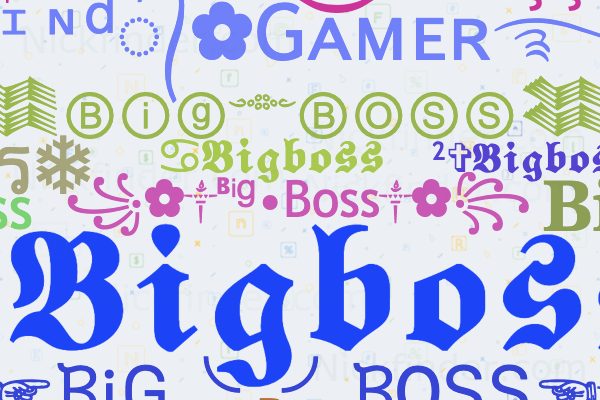 Nicknames for Bigboss: ꧁✿༒ᴮⁱᵍ•Boss༒✿꧂, ༄Bigᴮᴼˢˢ