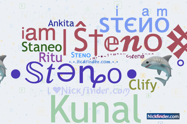 °. ♡ .° Nicknames for Steno: ѕτͥєиͣοͫ, Kunal, Ritu, S E T N O, Clify