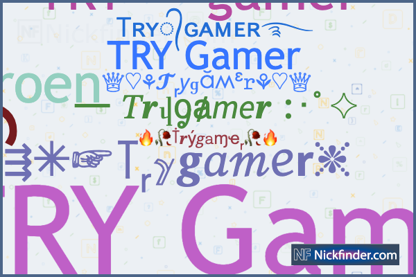 tygamerz, Online Shop