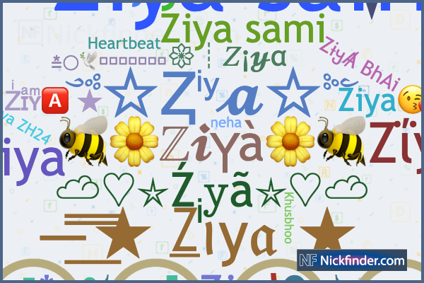 Nicknames for Ziya: Zΐyค, Zͥɪͣʏͫ🅰️ ☆, ZɨყȺ BhAi, Z I Y A, Ziya♡